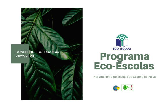PROGRAMA ECO-ESCOLAS NO AECP